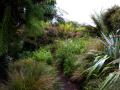 gal/holiday/Cornwall 2008 - Lost Gardens of Heligan/_thb_New_Zealand_Garden_IMG_2043.jpg
